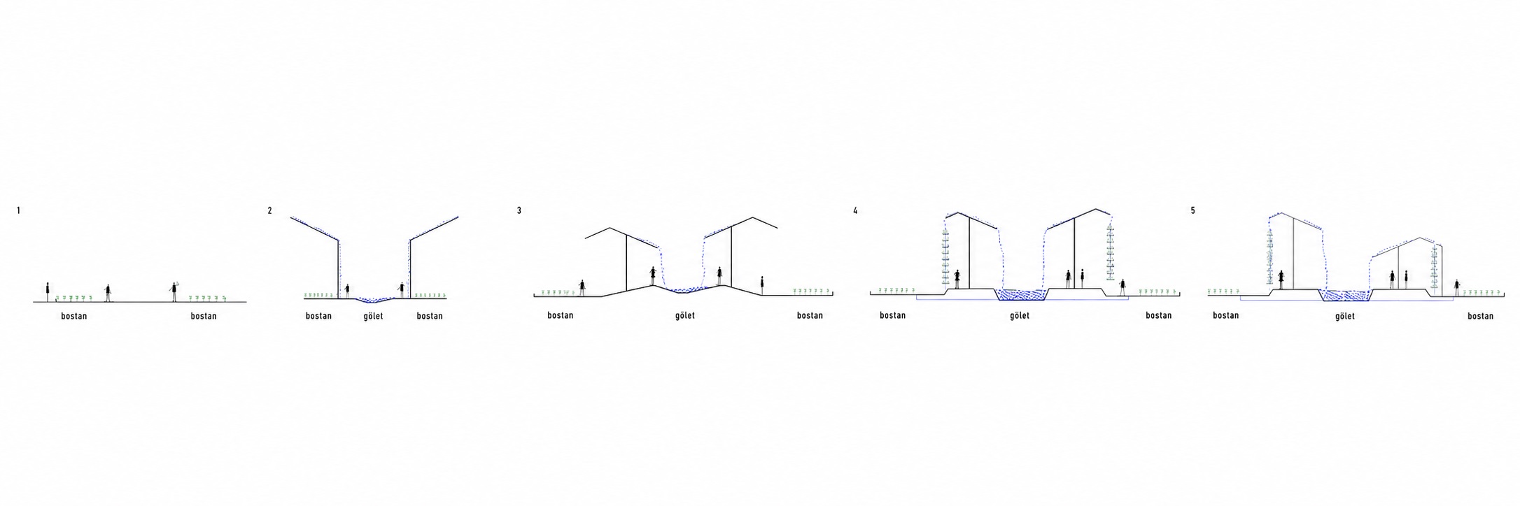 Roof And Programme Relationship